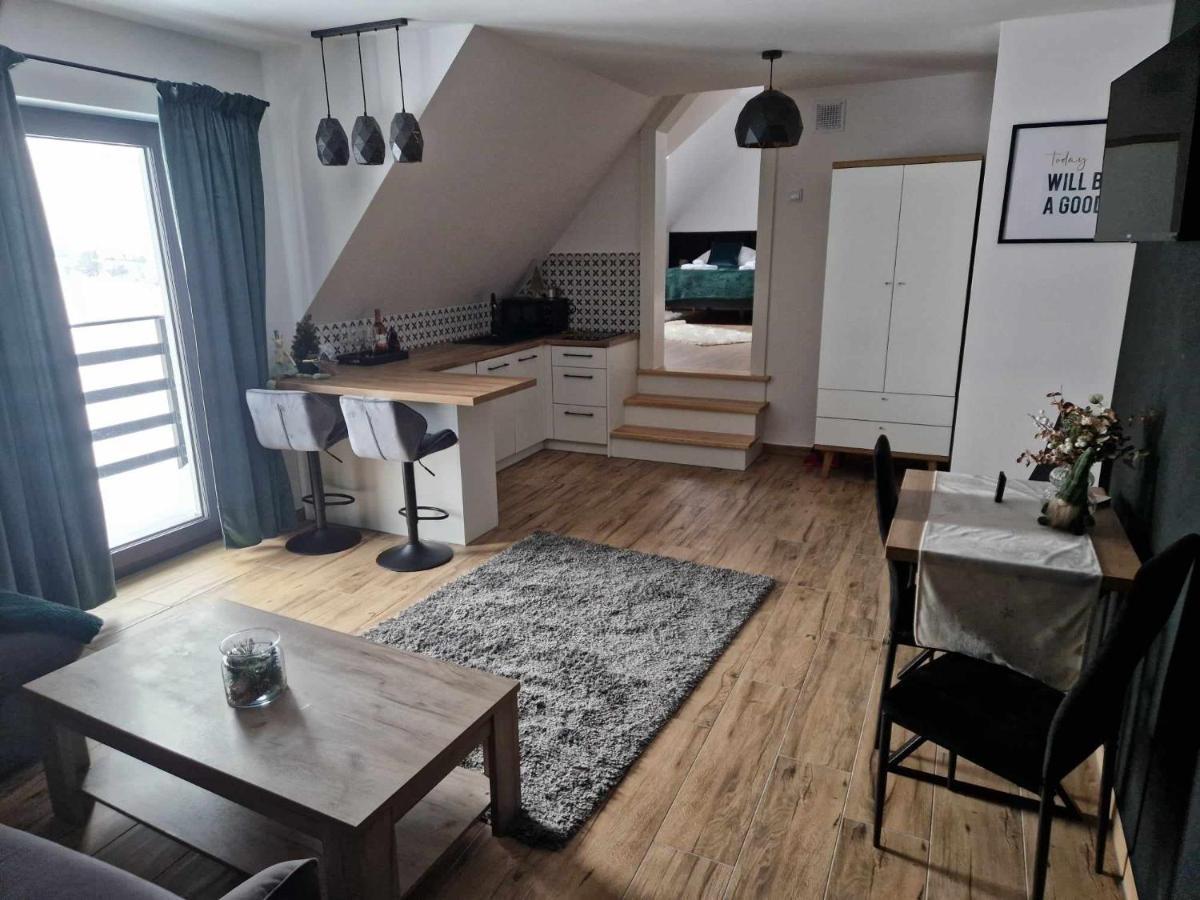 Appartamento Widokowa Polana Szaflary Esterno foto